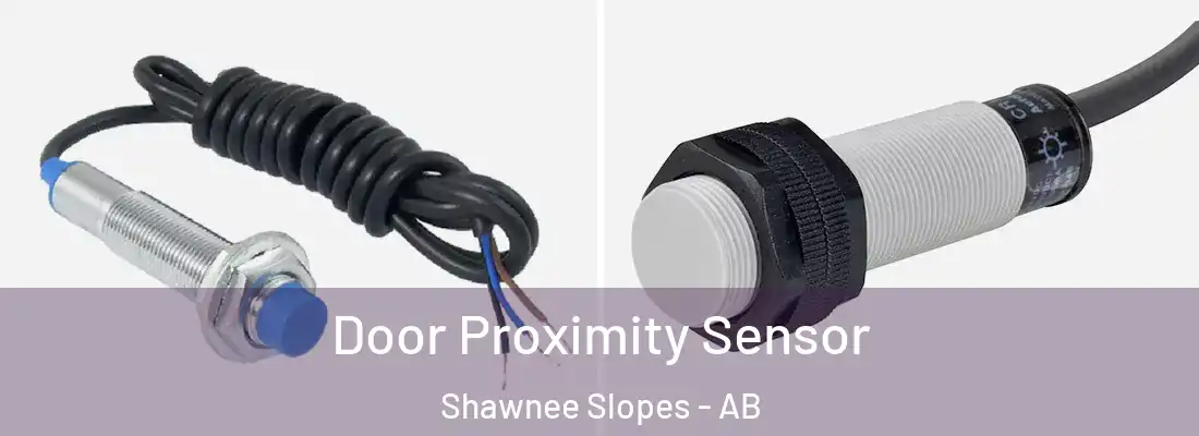  Door Proximity Sensor Shawnee Slopes - AB