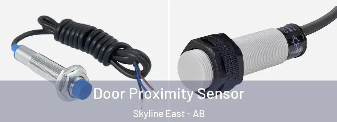 Door Proximity Sensor Skyline East - AB
