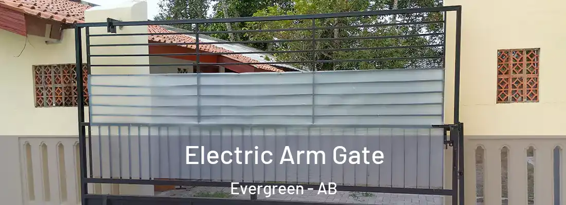  Electric Arm Gate Evergreen - AB