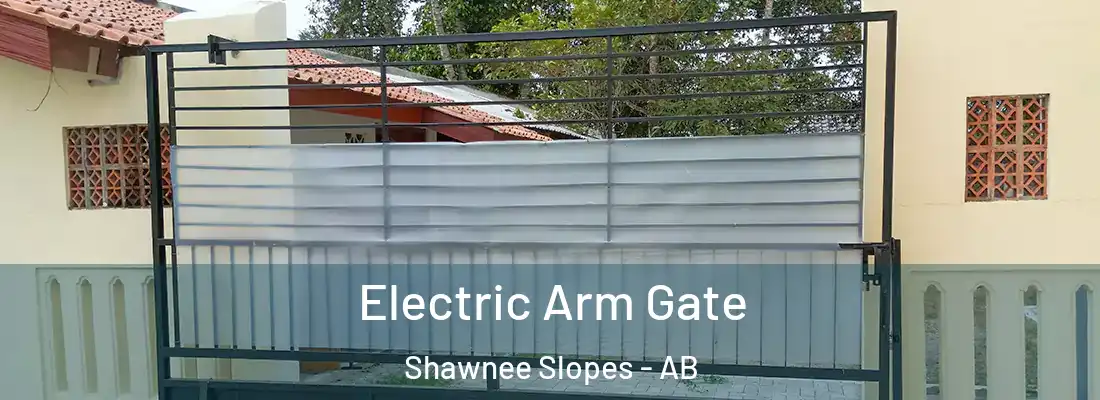  Electric Arm Gate Shawnee Slopes - AB