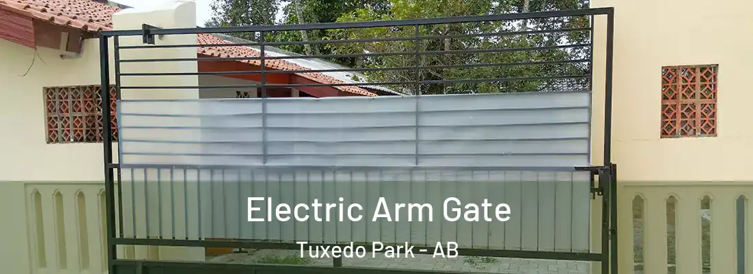  Electric Arm Gate Tuxedo Park - AB
