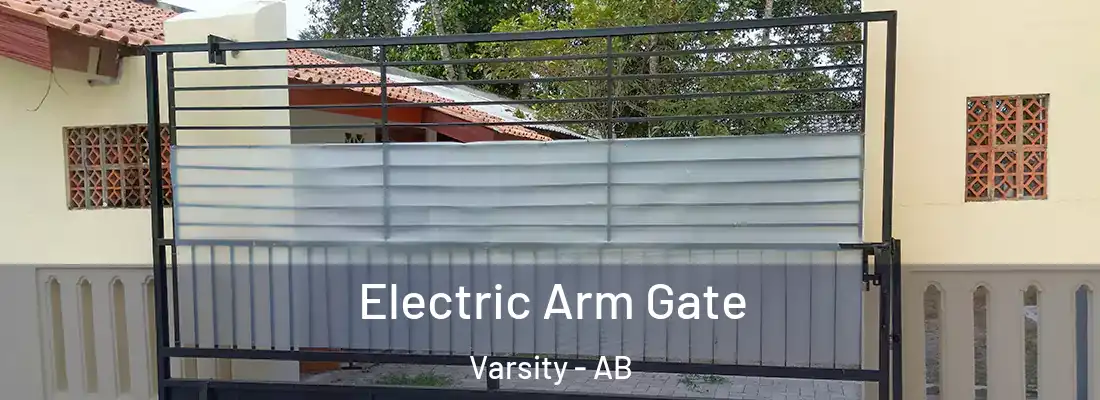  Electric Arm Gate Varsity - AB