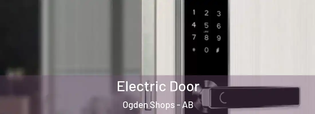  Electric Door Ogden Shops - AB