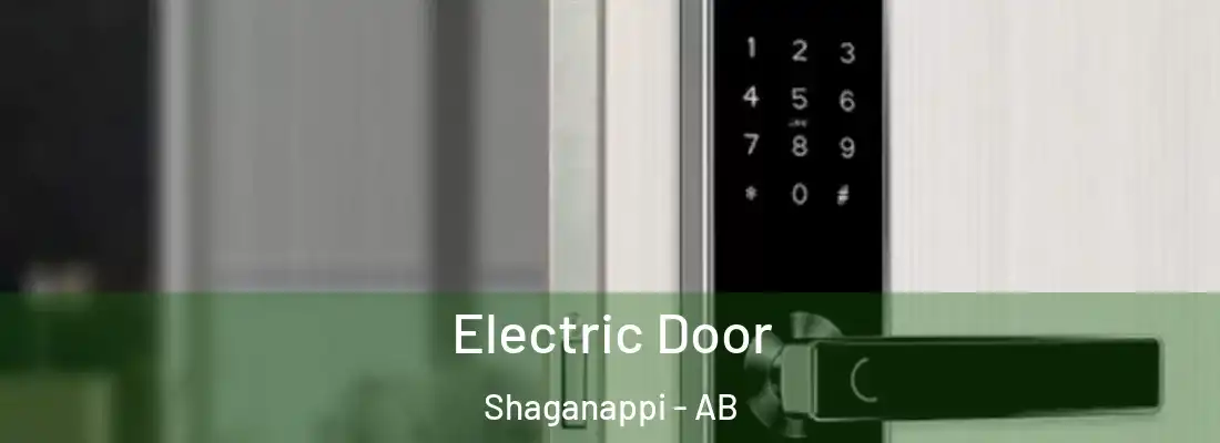  Electric Door Shaganappi - AB