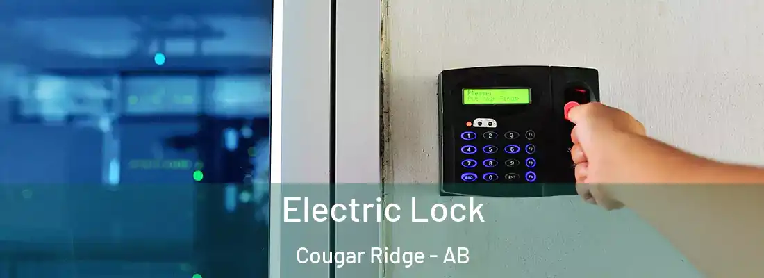  Electric Lock Cougar Ridge - AB