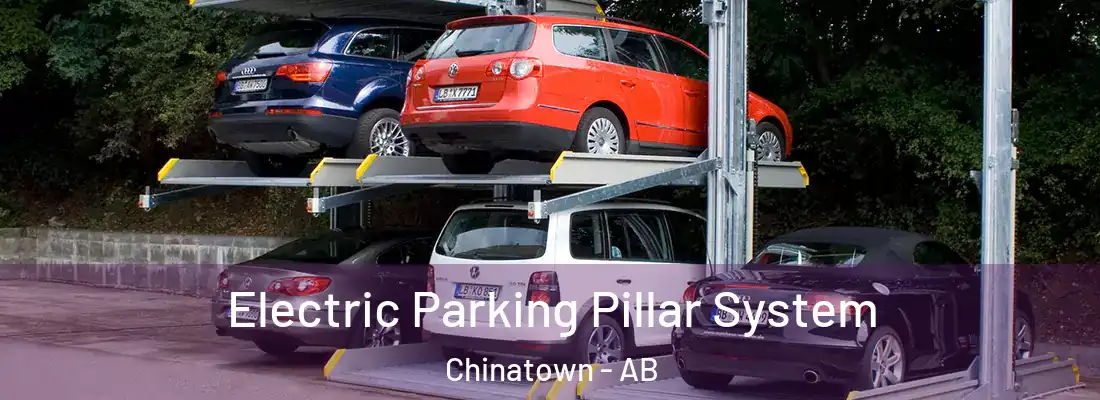  Electric Parking Pillar System Chinatown - AB