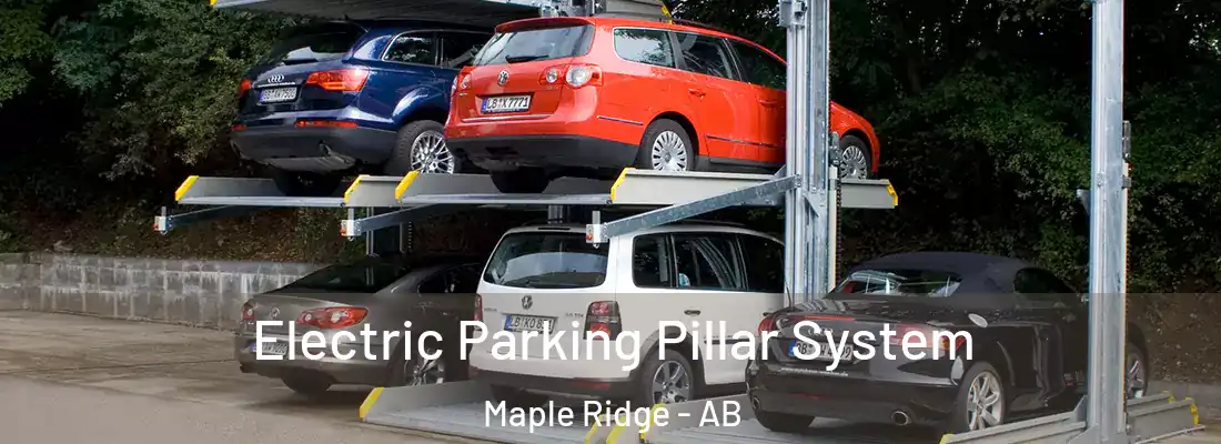  Electric Parking Pillar System Maple Ridge - AB
