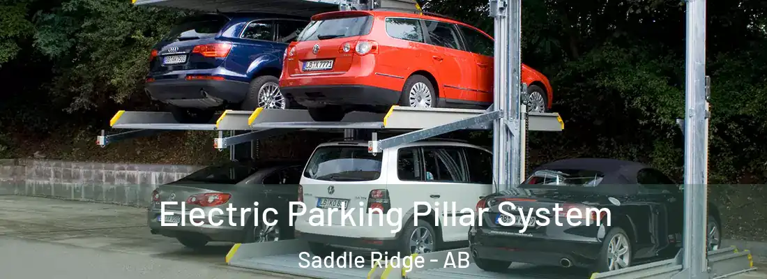  Electric Parking Pillar System Saddle Ridge - AB