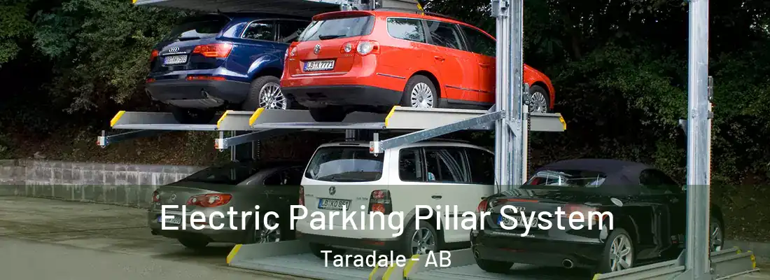  Electric Parking Pillar System Taradale - AB