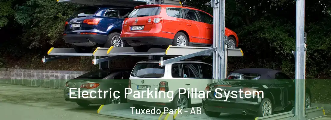  Electric Parking Pillar System Tuxedo Park - AB