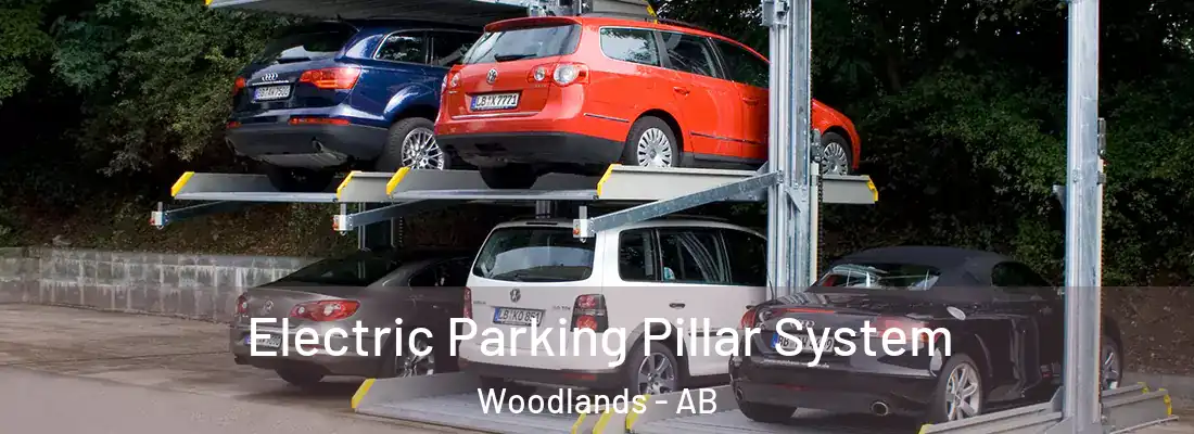  Electric Parking Pillar System Woodlands - AB