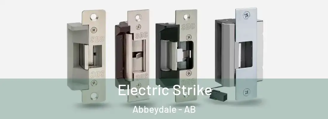  Electric Strike Abbeydale - AB
