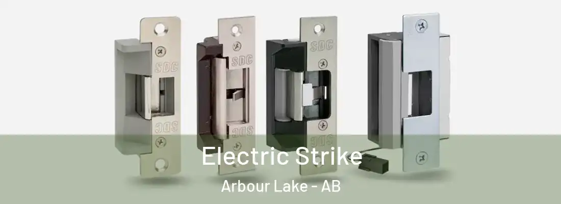 Electric Strike Arbour Lake - AB