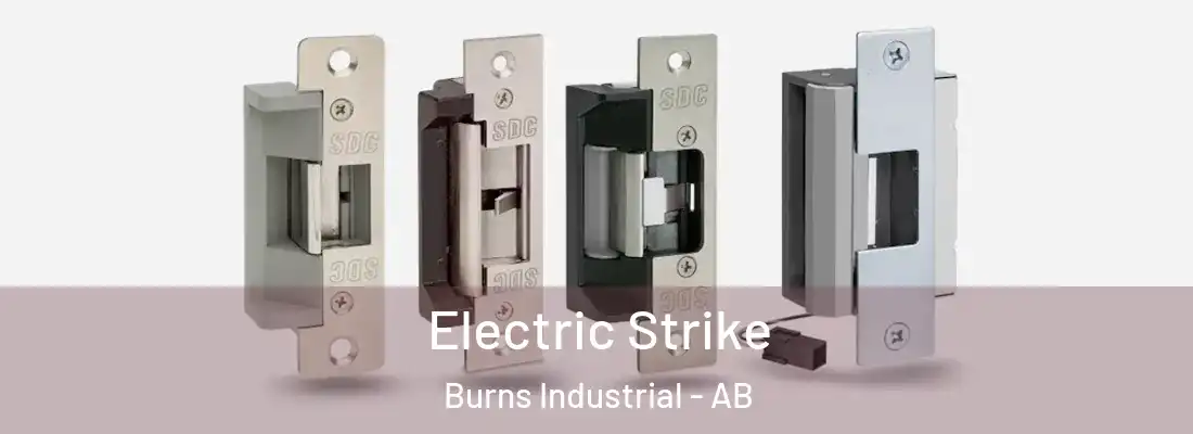  Electric Strike Burns Industrial - AB