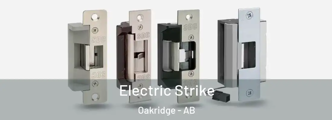  Electric Strike Oakridge - AB