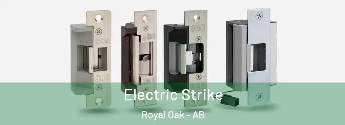  Electric Strike Royal Oak - AB