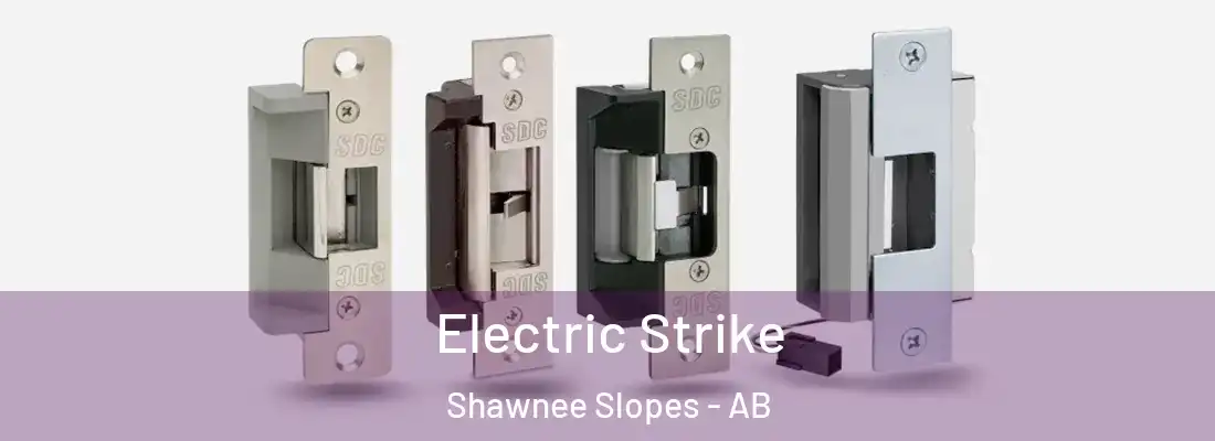  Electric Strike Shawnee Slopes - AB