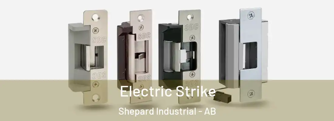  Electric Strike Shepard Industrial - AB