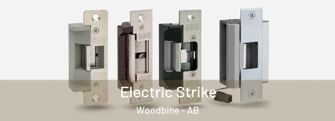  Electric Strike Woodbine - AB