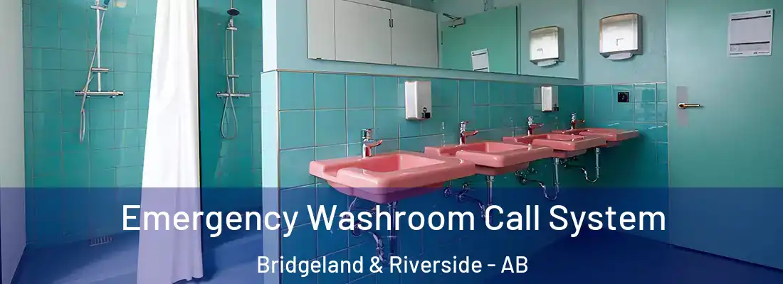  Emergency Washroom Call System Bridgeland & Riverside - AB