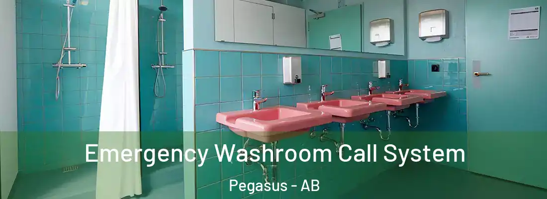  Emergency Washroom Call System Pegasus - AB