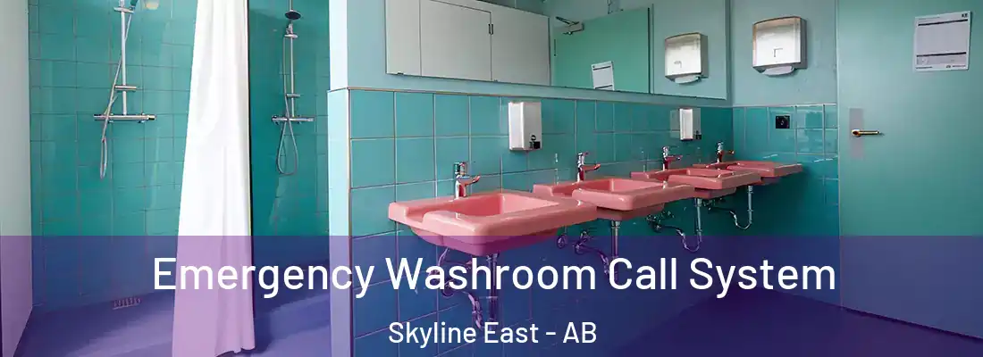 Emergency Washroom Call System Skyline East - AB