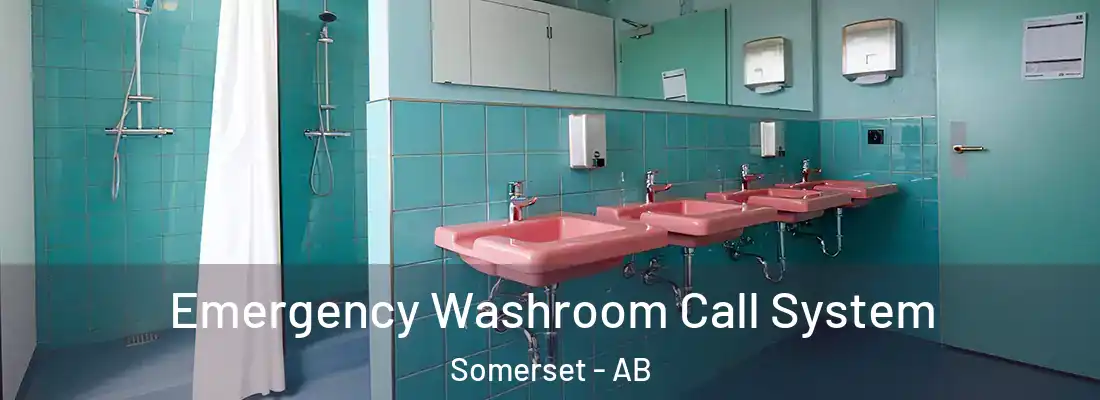  Emergency Washroom Call System Somerset - AB