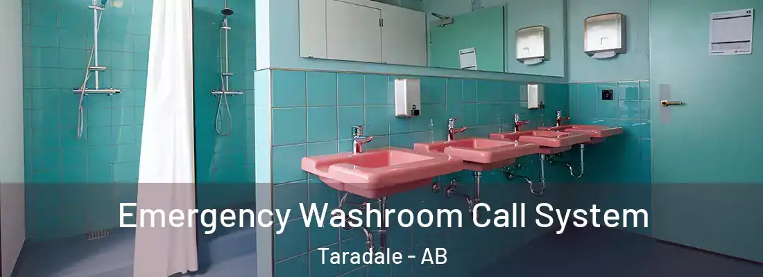  Emergency Washroom Call System Taradale - AB