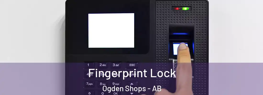  Fingerprint Lock Ogden Shops - AB