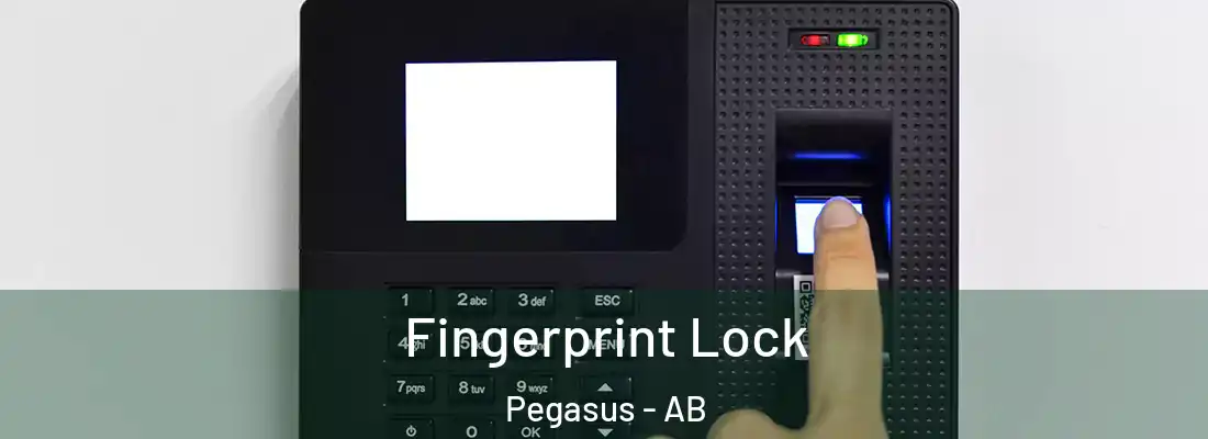  Fingerprint Lock Pegasus - AB