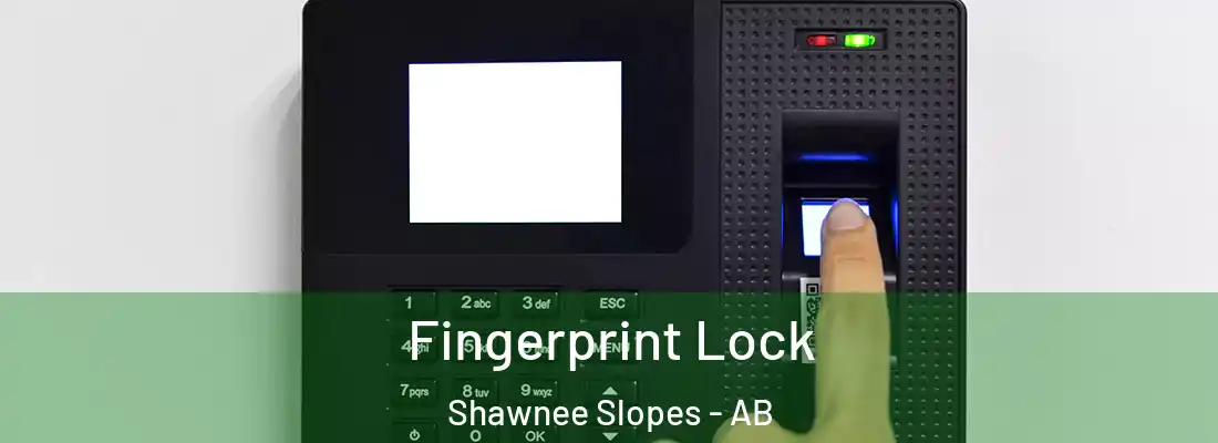  Fingerprint Lock Shawnee Slopes - AB