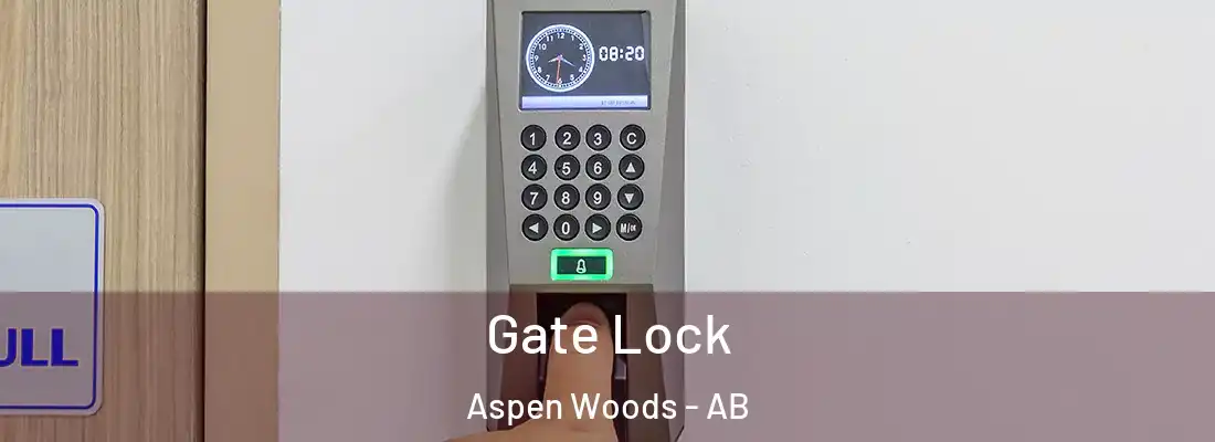  Gate Lock Aspen Woods - AB