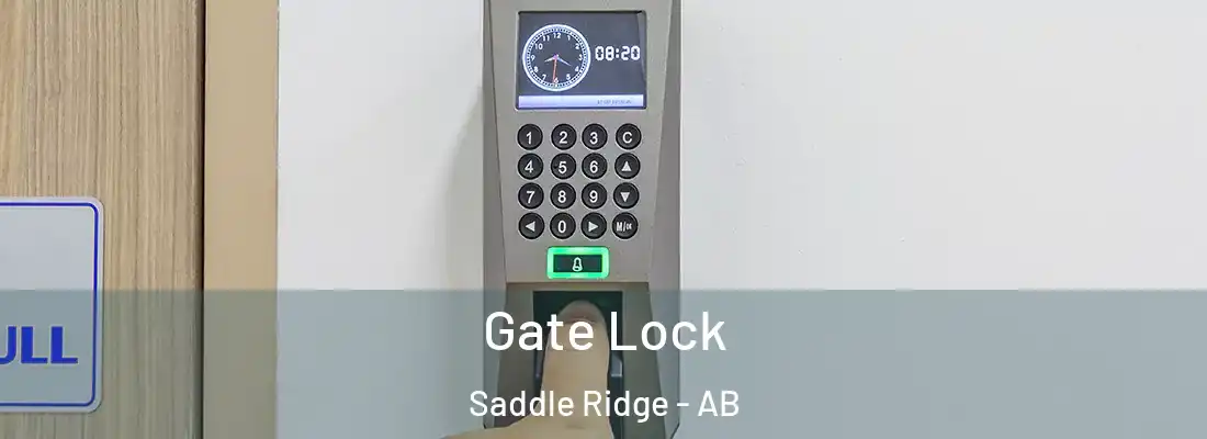  Gate Lock Saddle Ridge - AB