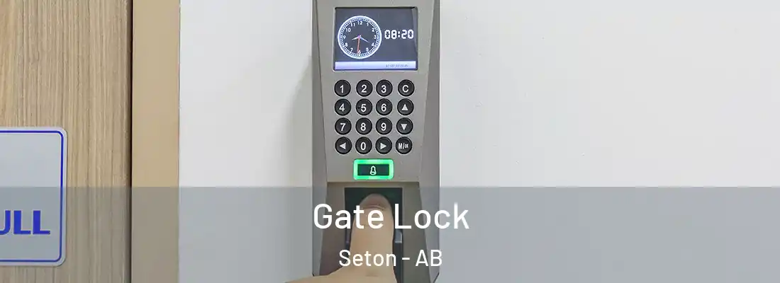 Gate Lock Seton - AB