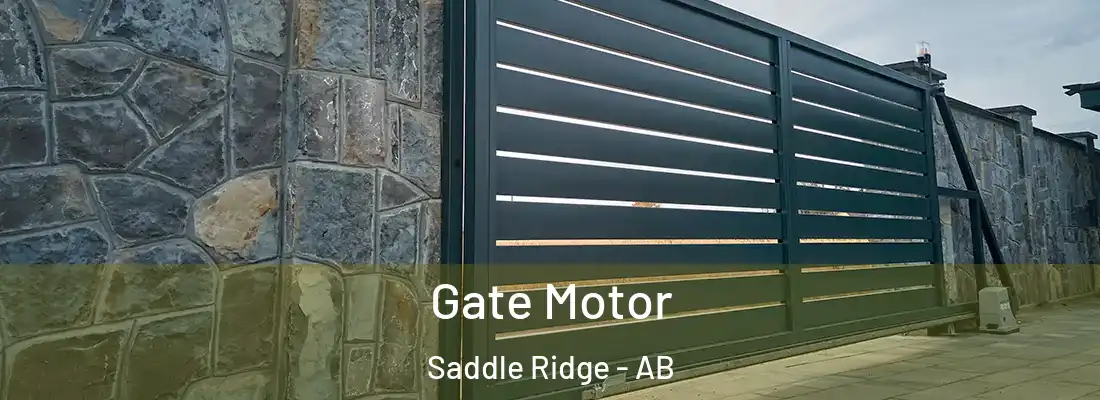  Gate Motor Saddle Ridge - AB