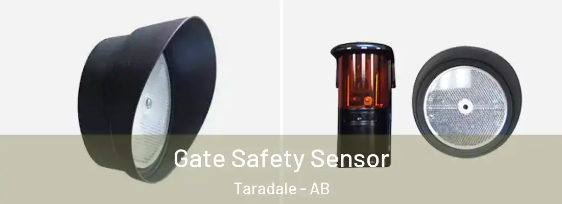  Gate Safety Sensor Taradale - AB