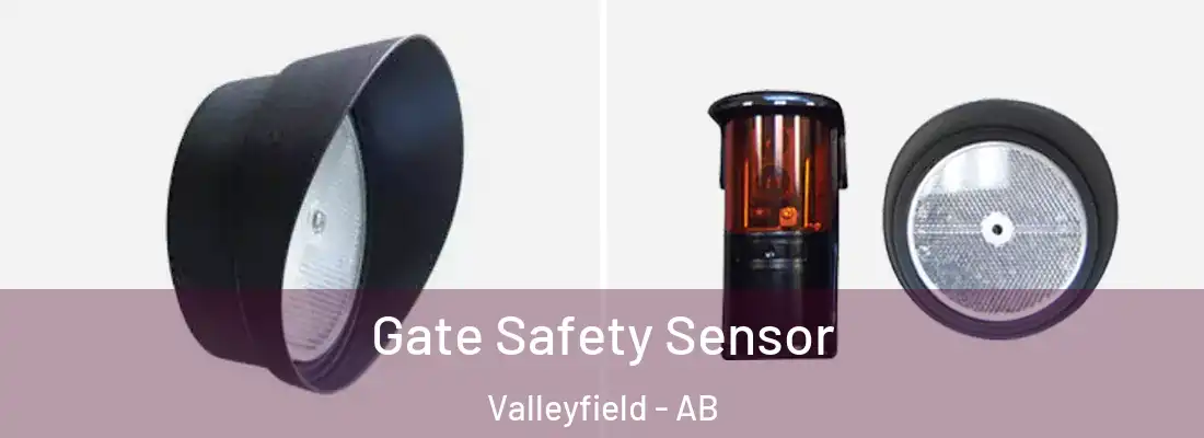  Gate Safety Sensor Valleyfield - AB