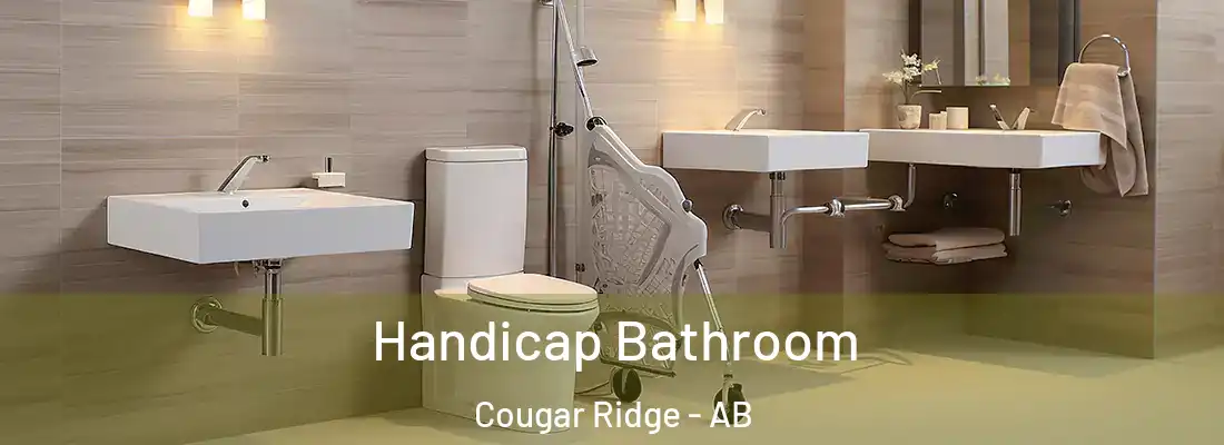 Handicap Bathroom Cougar Ridge - AB