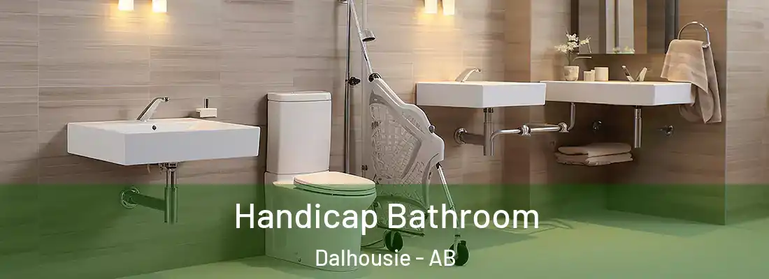  Handicap Bathroom Dalhousie - AB