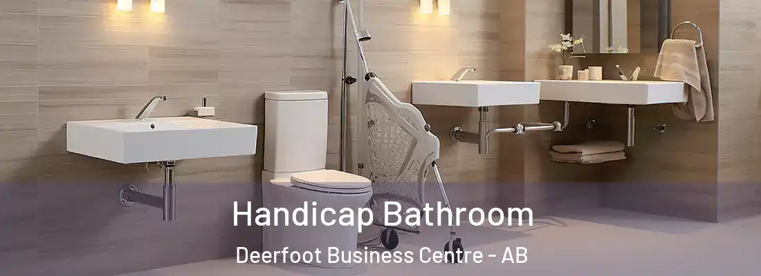  Handicap Bathroom Deerfoot Business Centre - AB