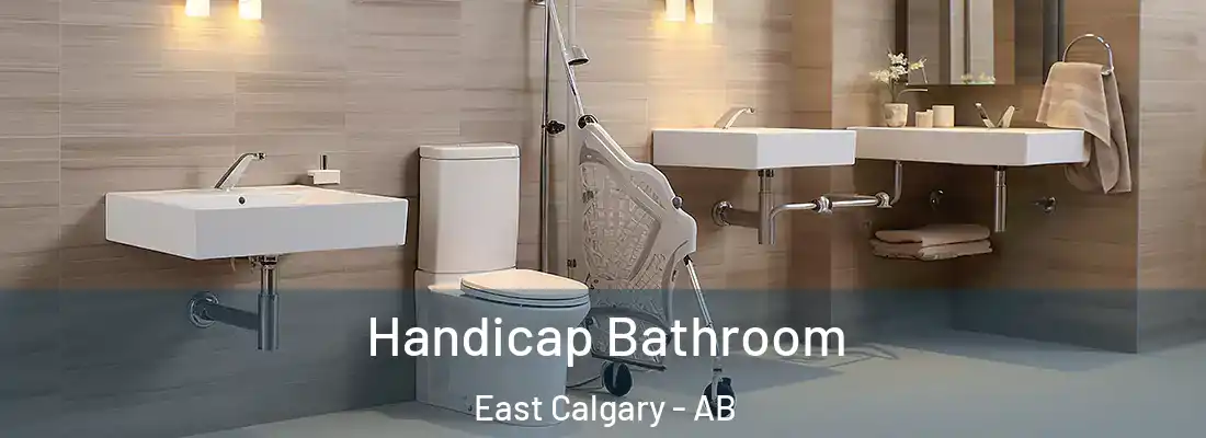  Handicap Bathroom East Calgary - AB