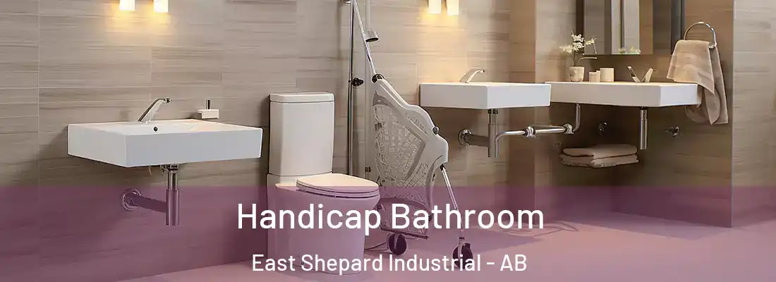 Handicap Bathroom East Shepard Industrial - AB