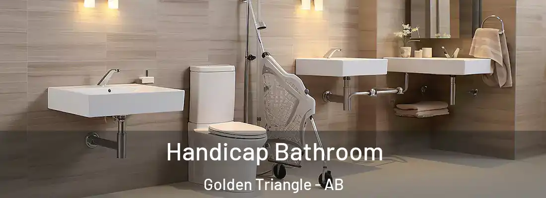 Handicap Bathroom Golden Triangle - AB