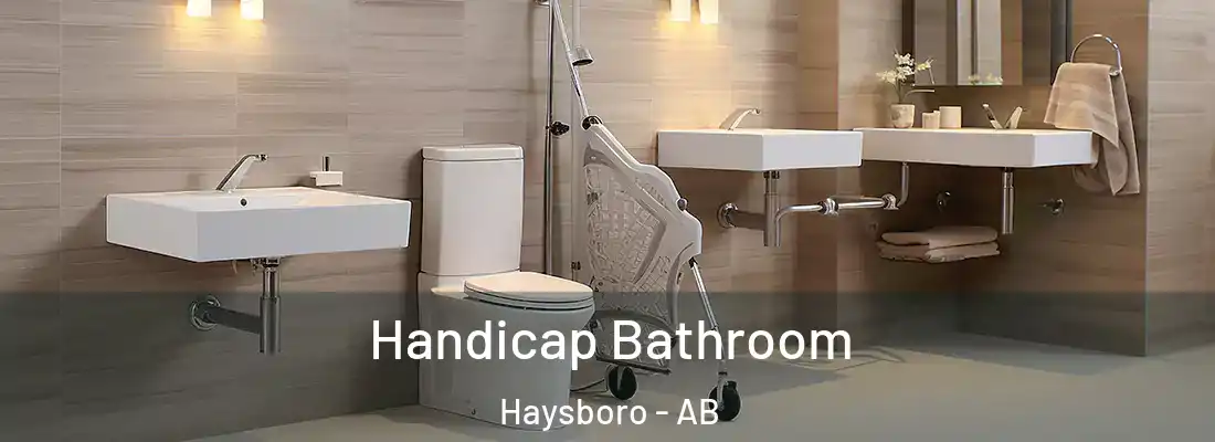  Handicap Bathroom Haysboro - AB