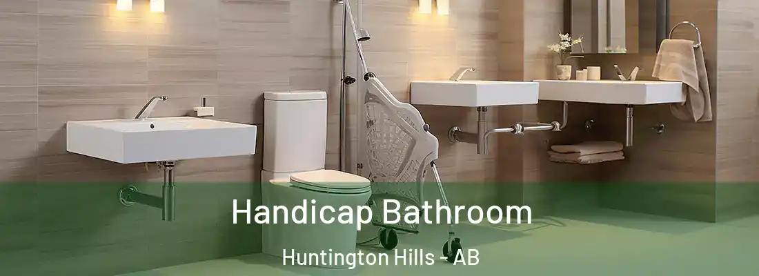  Handicap Bathroom Huntington Hills - AB