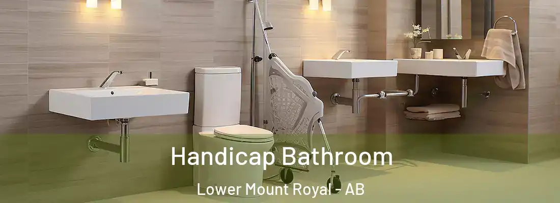  Handicap Bathroom Lower Mount Royal - AB