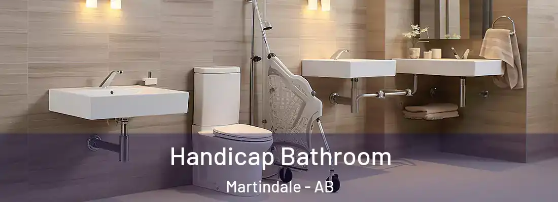  Handicap Bathroom Martindale - AB