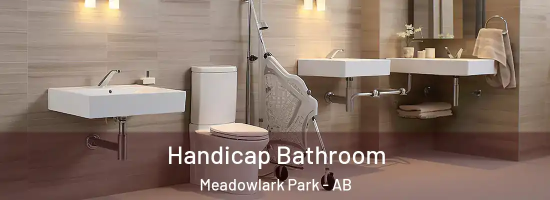  Handicap Bathroom Meadowlark Park - AB