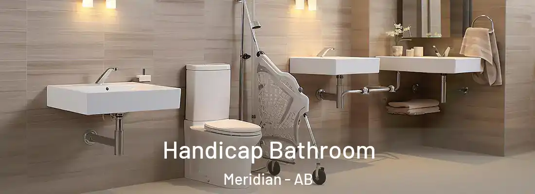  Handicap Bathroom Meridian - AB