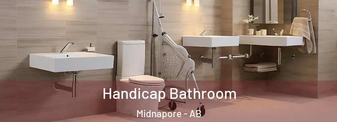  Handicap Bathroom Midnapore - AB